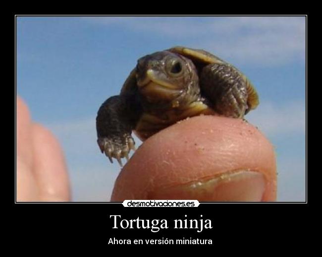 Tortuga ninja - Ahora en versión miniatura 
