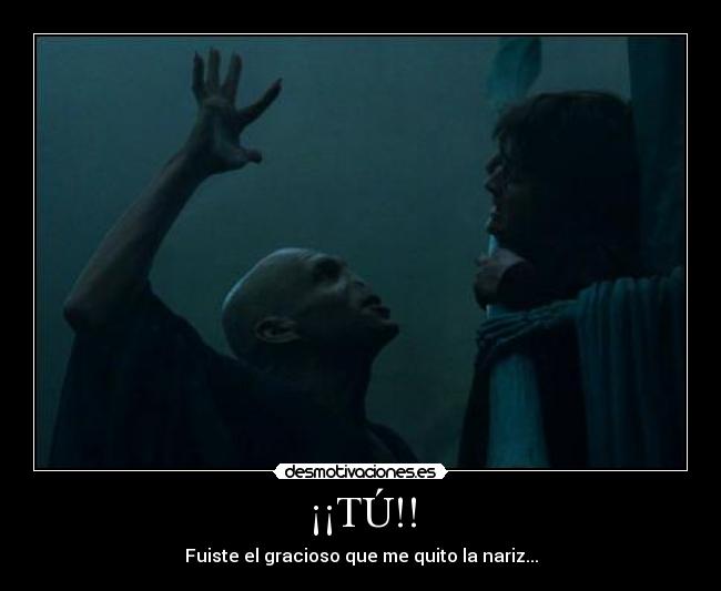 carteles harry potter nariz desmotivaciones