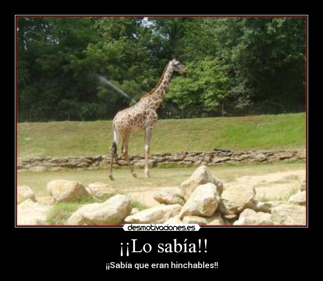 ¡¡Lo sabía!! - ¡¡Sabía que eran hinchables!!