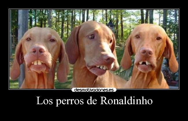 Los perros de Ronaldinho -