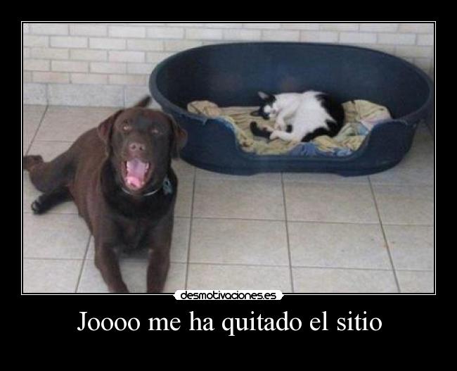 Joooo me ha quitado el sitio -