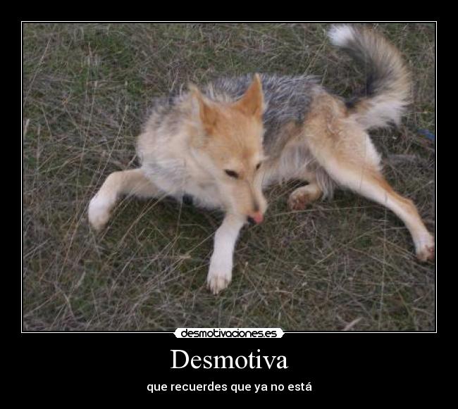 Desmotiva - 