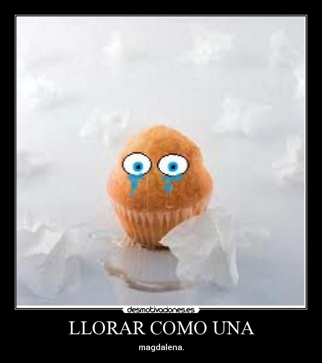 carteles llorar llorar como una magdalena desmotivaciones