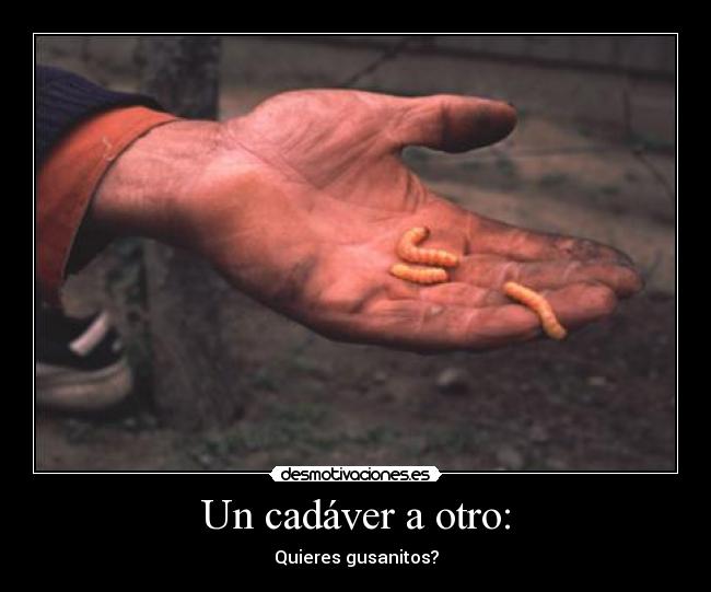 Un cadáver a otro: - Quieres gusanitos?