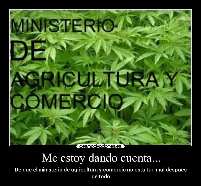 Me estoy dando cuenta... - 