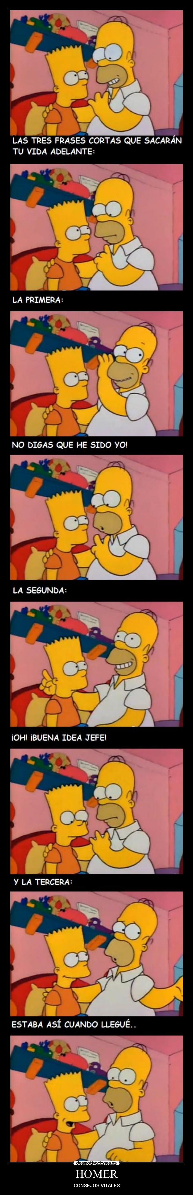 carteles walt_k walt gatosdesmotivaciones cola principal motiva los simpsons antena homer bart desmotivaciones