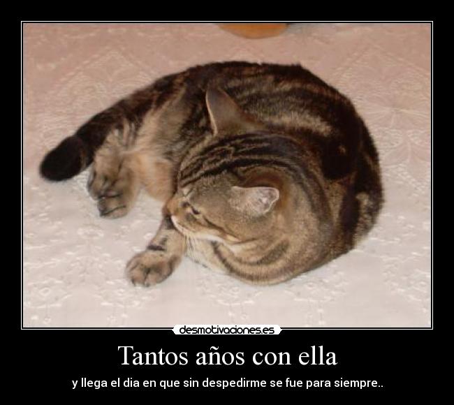 Tantos años con ella -