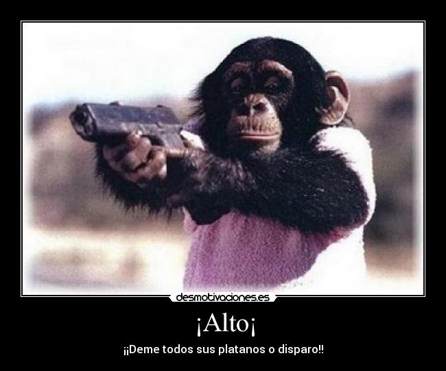 ¡Alto¡ - ¡¡Deme todos sus platanos o disparo!!