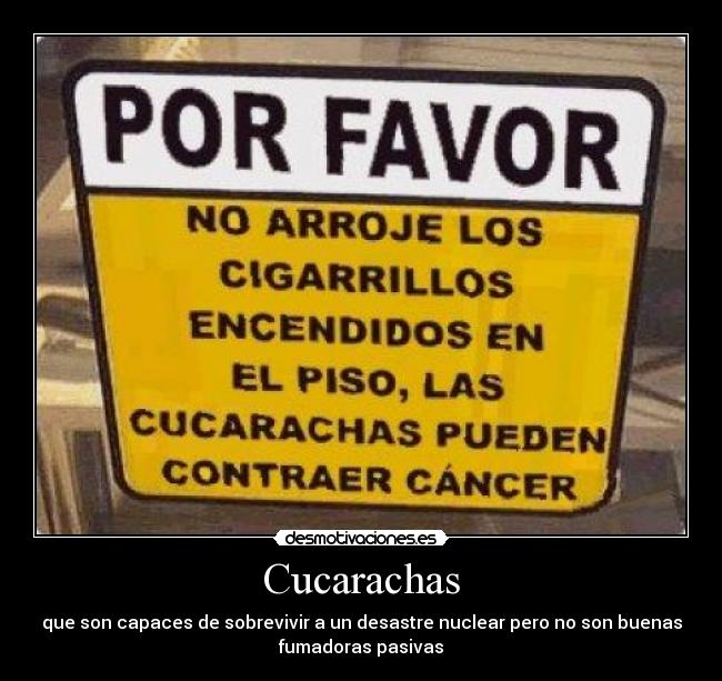carteles cucarachas cancer desmotivaciones