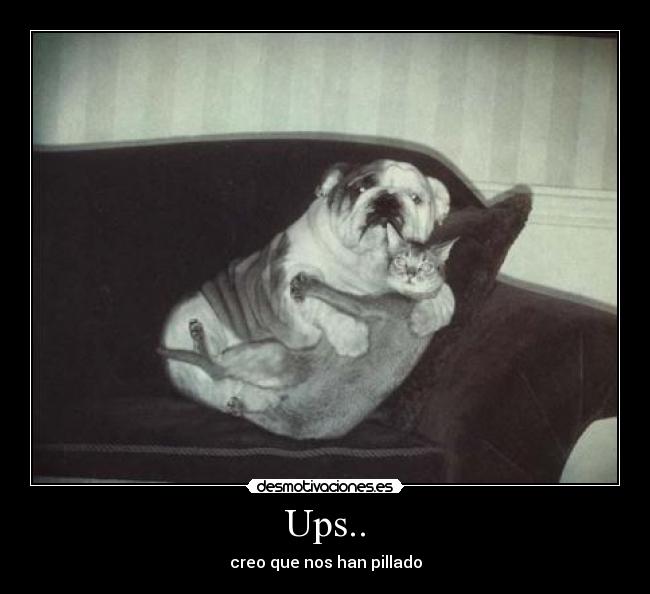 Ups.. - creo que nos han pillado