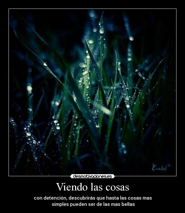 Viendo las cosas - con detención, descubrirás que hasta las cosas mas
 simples pueden ser de las mas bellas
