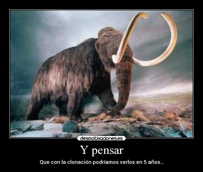 carteles joshba desmotivaciones