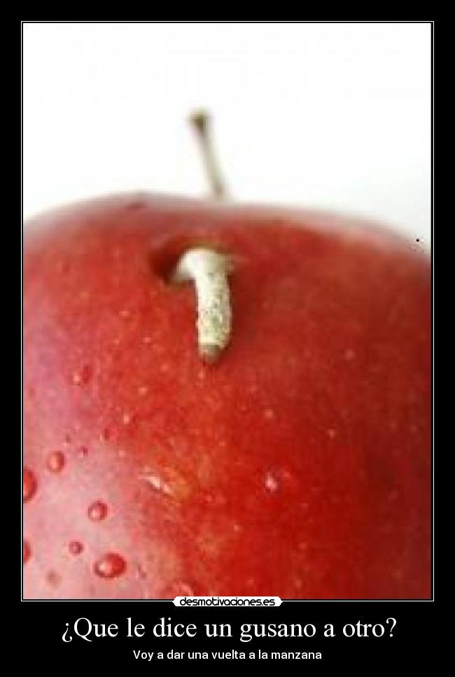 ¿Que le dice un gusano a otro? - Voy a dar una vuelta a la manzana
