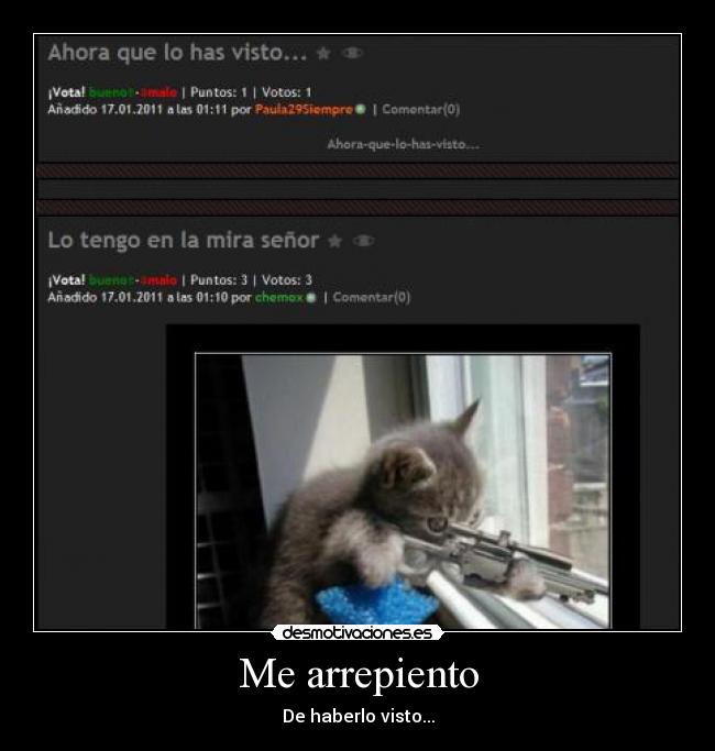 Me arrepiento - De haberlo visto...