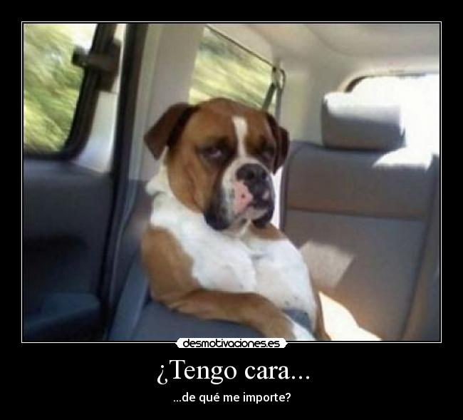 ¿Tengo cara... - 