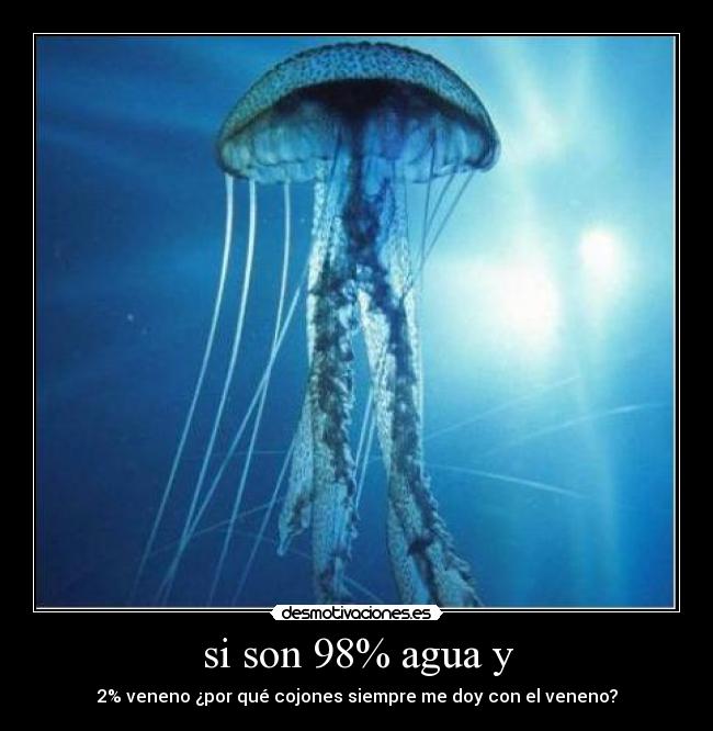 si son 98% agua y - 