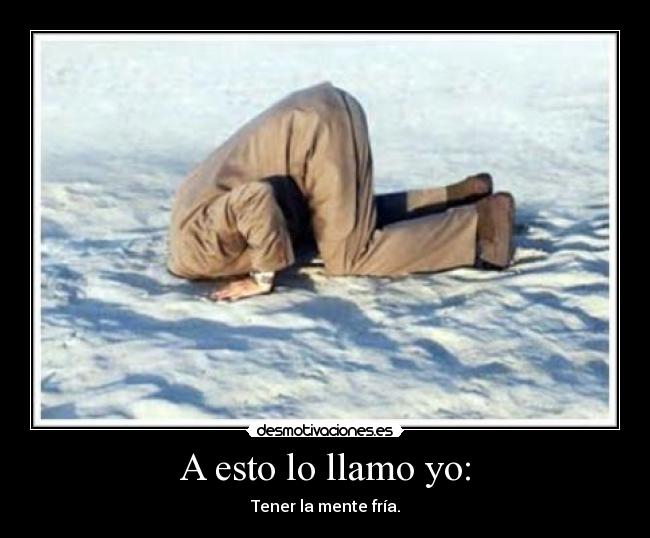 A esto lo llamo yo: - Tener la mente fría.