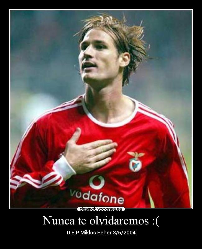 Nunca te olvidaremos :( -