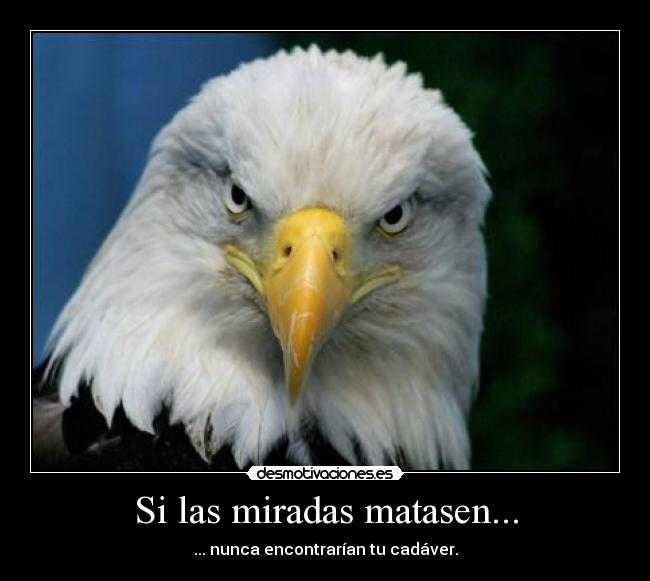 Si las miradas matasen... - ... nunca encontrarían tu cadáver.