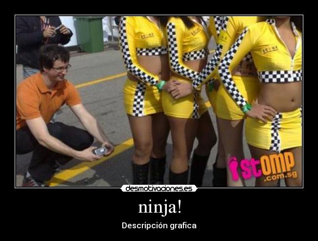 ninja! - Descripción grafica