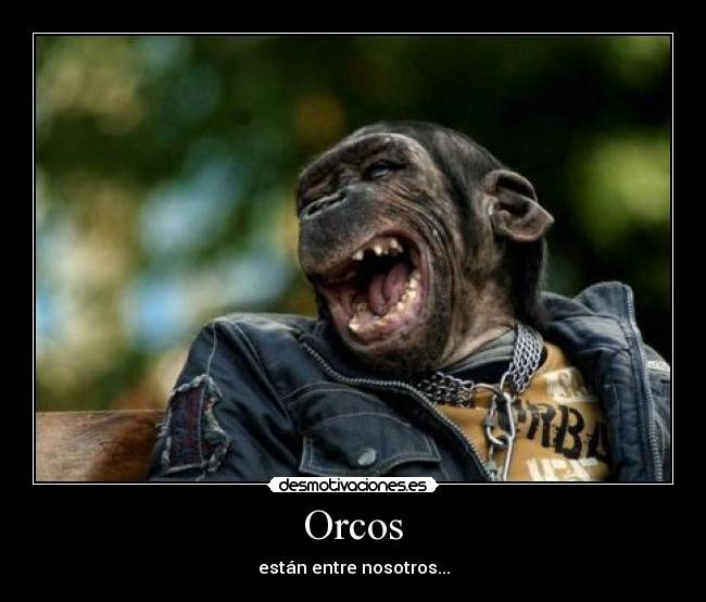 Orcos - están entre nosotros...