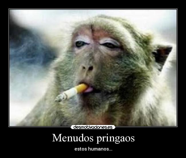 Menudos pringaos - estos humanos...