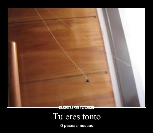 Tu eres tonto - O paseas moscas
