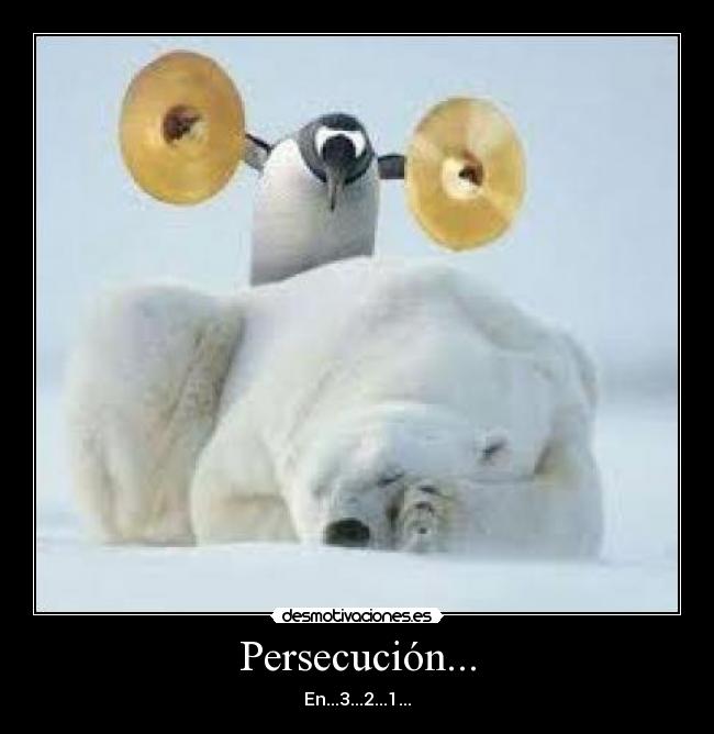 Persecución... -