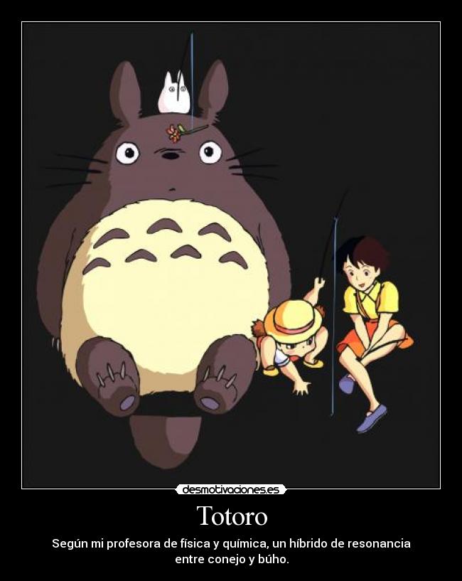 Totoro - Según mi profesora de física y química, un híbrido de resonancia
entre conejo y búho.