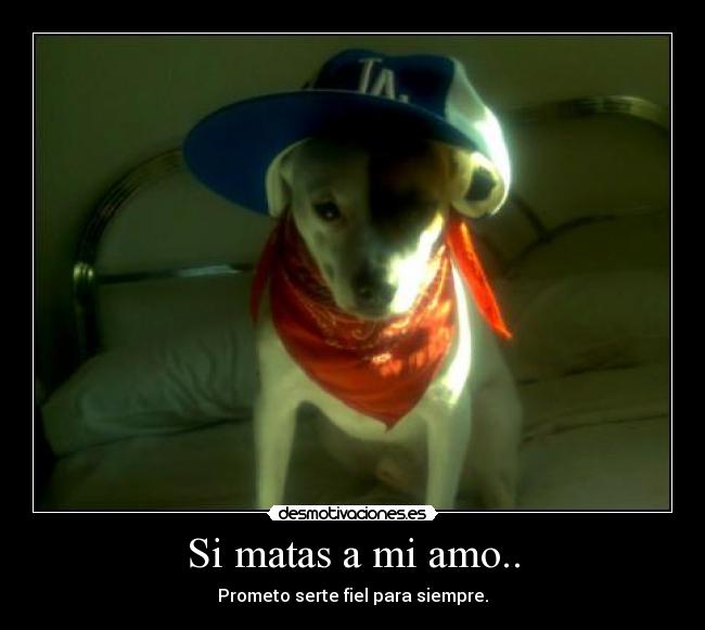 Si matas a mi amo.. -