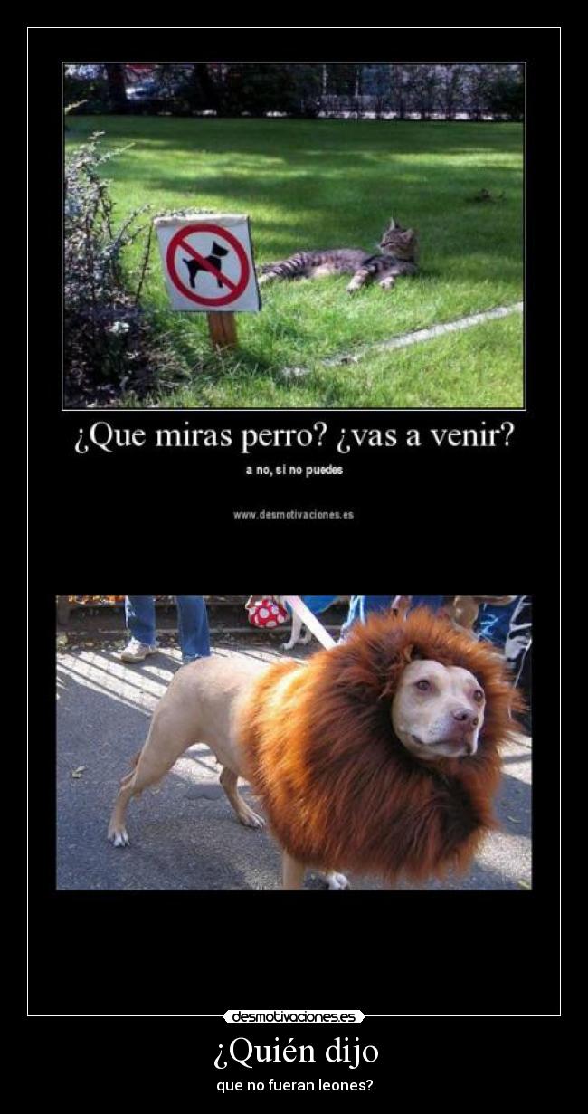 ¿Quién dijo - que no fueran leones?