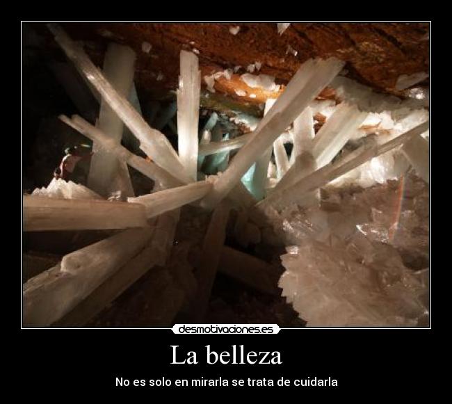 La belleza - 