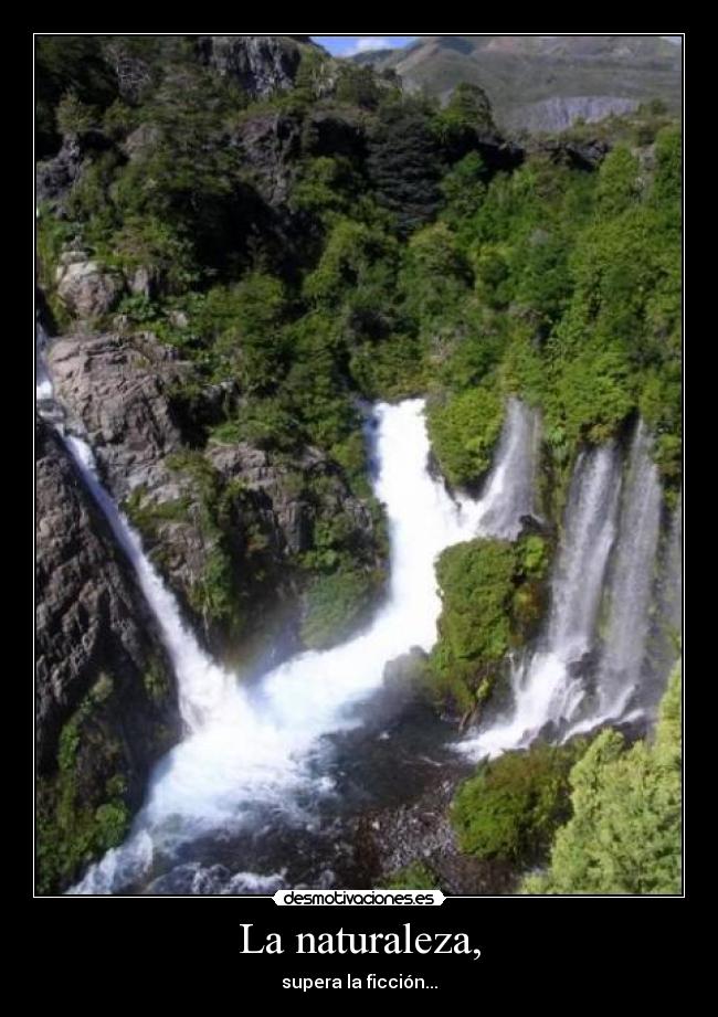 La naturaleza, -