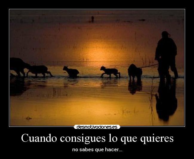 carteles cuando consigues que quieres sabes que hacer desmotivaciones