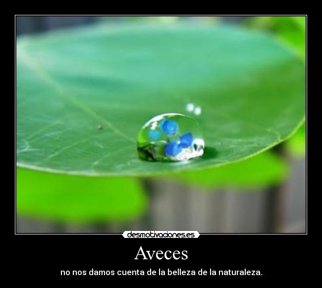 Aveces - 