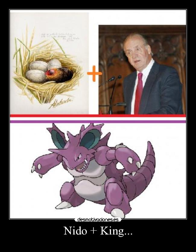 Nido + King... - 