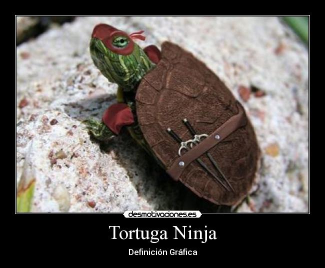 Tortuga Ninja -
