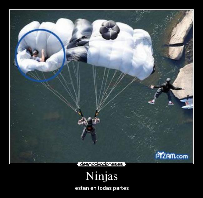 Ninjas - estan en todas partes