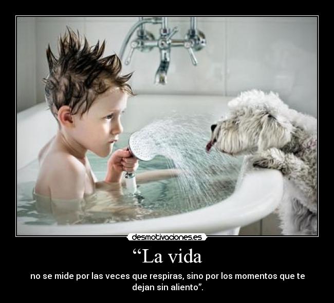 “La vida -