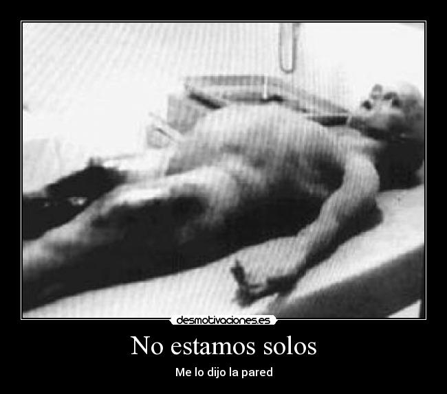 No estamos solos - Me lo dijo la pared