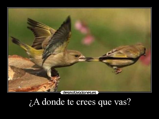 ¿A donde te crees que vas? -