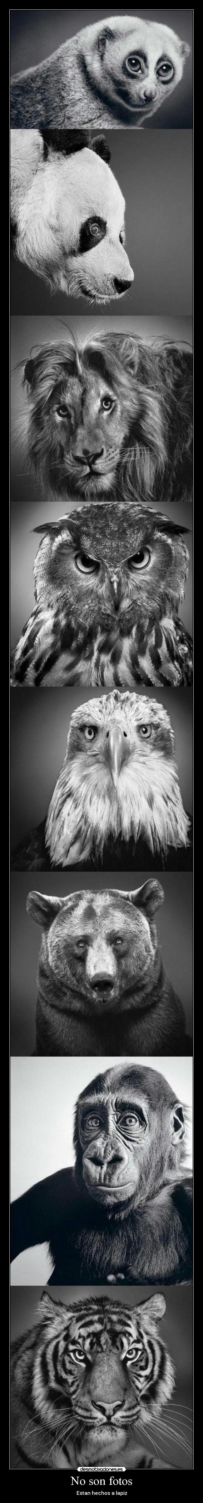 carteles son fotos desmotivaciones