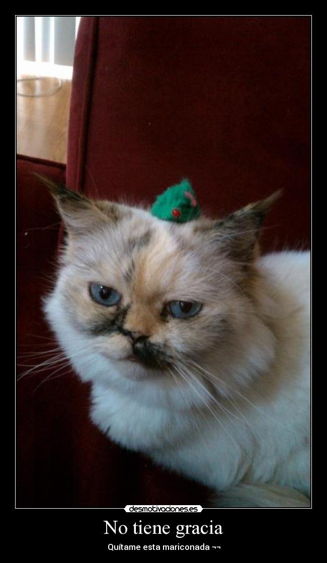 No tiene gracia - Quítame esta mariconada ¬¬