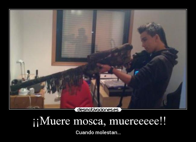 ¡¡Muere mosca, muereeeee!! - 