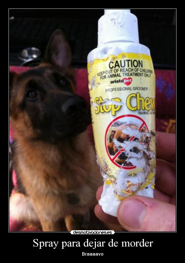 Spray para dejar de morder - Braaaavo