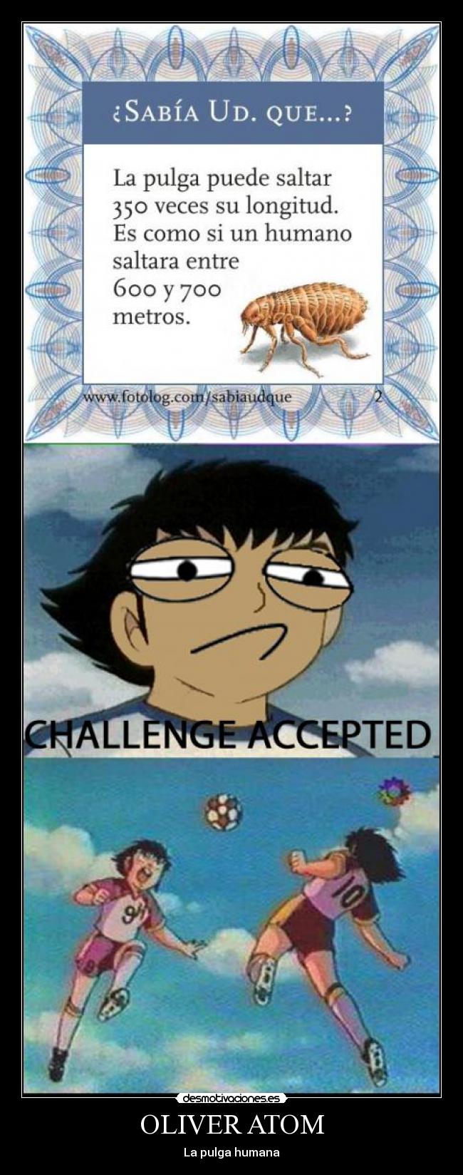 OLIVER ATOM - La pulga humana