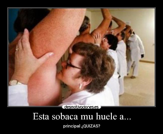 Esta sobaca mu huele a... - principal ¿QUIZAS?