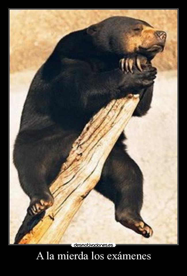 A la mierda los exámenes -