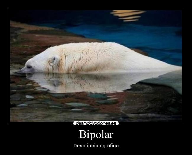 Bipolar - Descripción gráfica