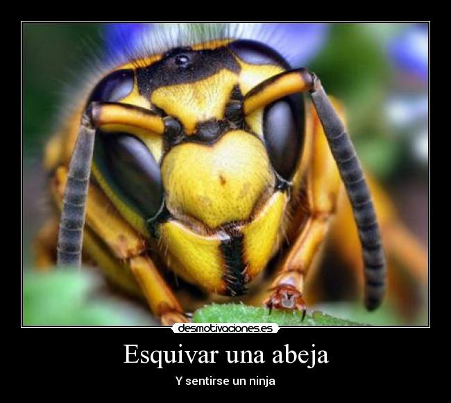 Esquivar una abeja - Y sentirse un ninja